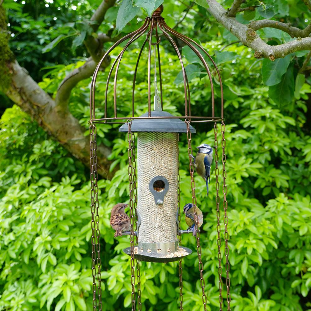 Medusa Bird Feeder Defender